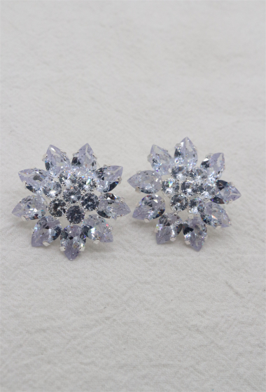 Wholesaler Orient Express - Earrings