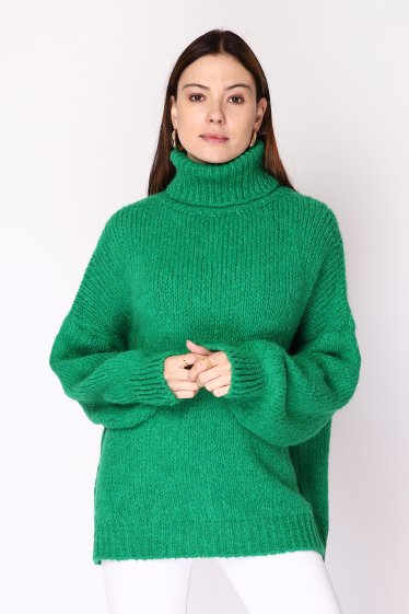 Wholesaler Ornella Paris - Turtleneck sweater