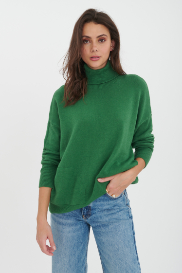 Wholesaler Ornella Paris - Plain sweater with high neck