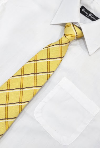 Wholesalers Pomme Carre - Brown, white and yellow checkered tie