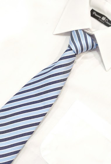 Wholesalers Pomme Carre - White and blue striped tie