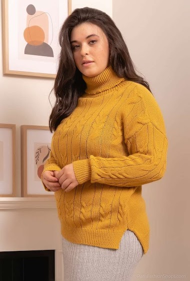 Wholesaler RZ Fashion - Turtleneck sweater