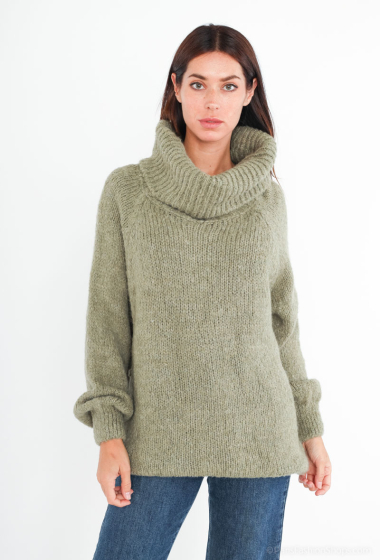 Großhändler Sandy Paris - Pullover mit Kragen und Wolle