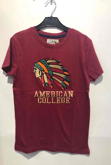 Grossiste So Brand - T-shirt manches courtes avec logo broderies AMERICAN COLLEGE