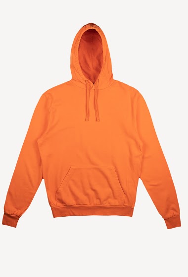 Grossistes Systandard - HOODIE COOL BASICO