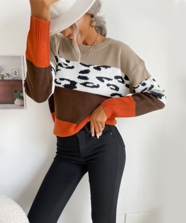 Wholesaler TINA - Brown and white sweater