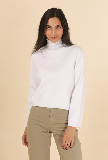 Wholesaler Van Der Rock - Cropped sweater with high neck