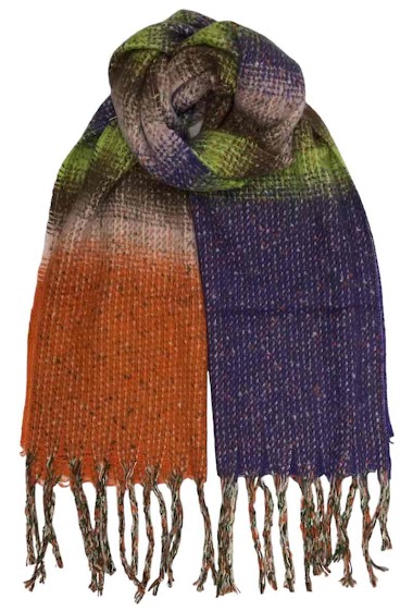 Wholesaler VS PLUS - Colorful fringe scarf
