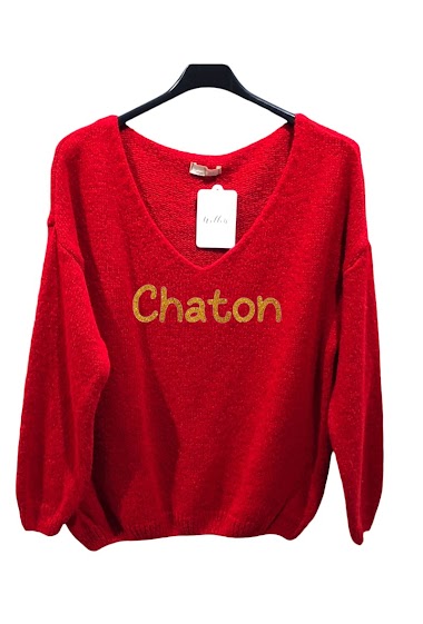 "Chaton" v neck sweater