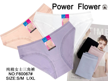 Wholesaler Xin Feng Yun - women's panties