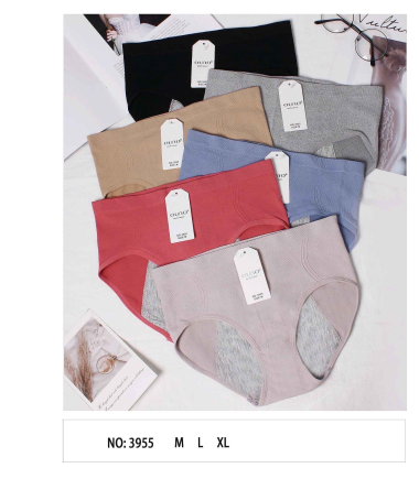 Wholesaler Xin Feng Yun - Menstrual Panties