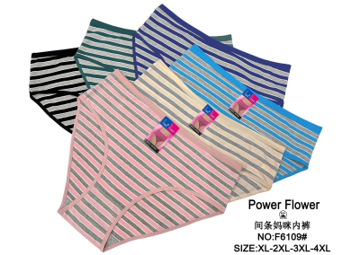 Wholesaler Xin Feng Yun - Plus Size Women's Panties