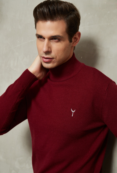 Wholesaler Yves Enzo - Jumper with funnel neck with logo - Burgundy