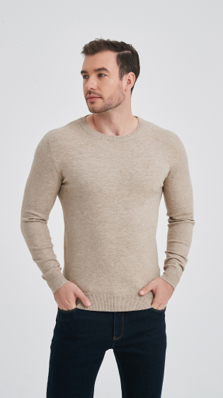 Wholesaler Yves Enzo - Crew neck jumper "cashmere touch"