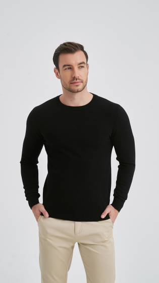 Wholesaler Yves Enzo - Crew neck jumper "cashmere touch"