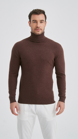 Grossiste Yves Enzo - Pull col roulé "cashmere touch"