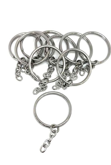Wholesaler Z. Emilie - Key ring steel accessory