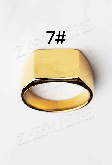 Wholesaler Z. Emilie - Rectangular steel ring