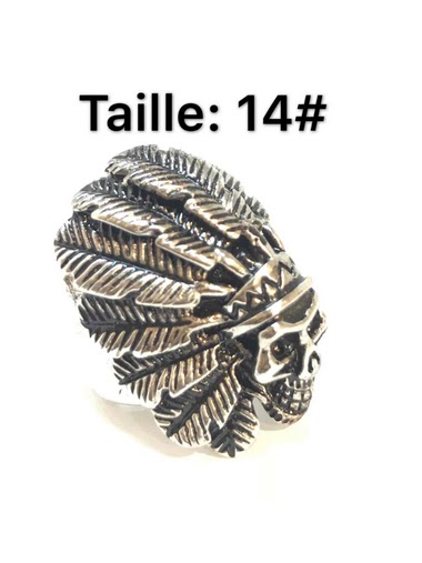 Mayorista Z. Emilie - Feather Indian skull steel ring