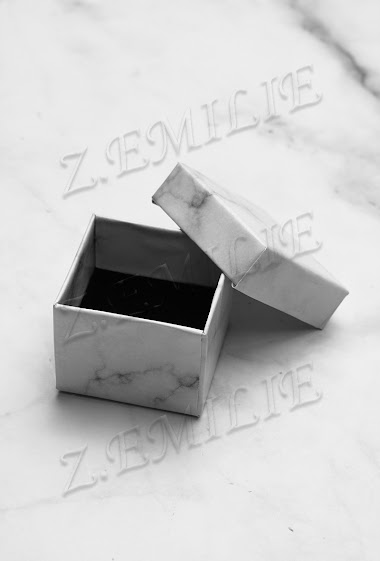 Wholesaler Z. Emilie - Gift bag for ring