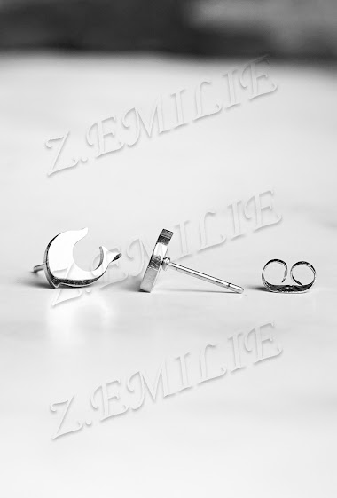 Wholesaler Z. Emilie - Dolphin steel earring