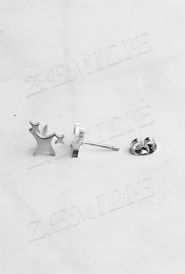 Großhändler Z. Emilie - Star steel earring
