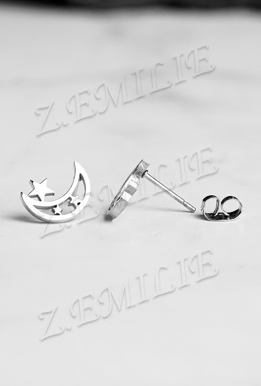 Wholesaler Z. Emilie - Moon star steel earring