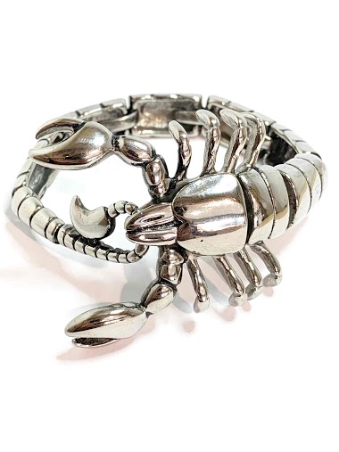 Wholesaler Z. Emilie - Scorpio steel bracelet