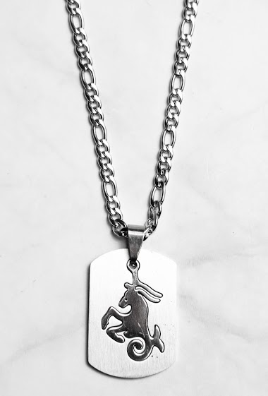 Mayorista Z. Emilie - Zodiac capricorn steel necklace