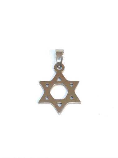 Großhändler Z. Emilie - Star David steel pendant