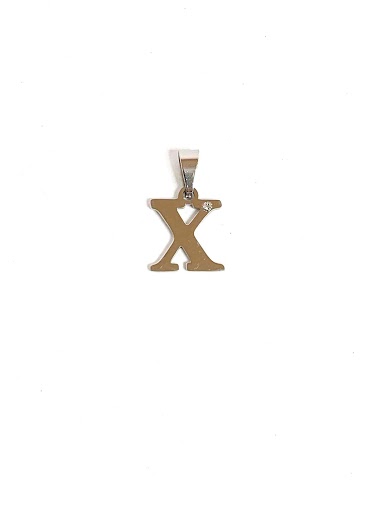 Wholesaler Z. Emilie - X steel pendant