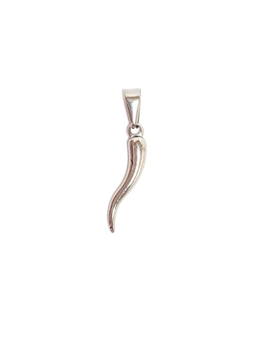Wholesaler Z. Emilie - Chilli steel pendant