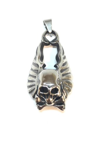 Wholesalers Z. Emilie - Skull with wings steel pendant