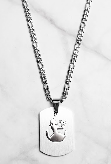 Großhändler Z. Emilie - Zodiac virgin steel necklace