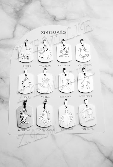 Wholesaler Z. Emilie - Zodiac steel pendant