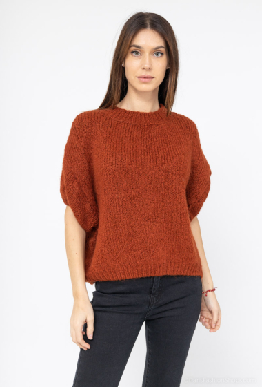 Grossiste Zelia - Pull manches courtes